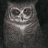 フクロウの声が聞こえる(完全生産限定盤) フクロウの声が聞こえる(完全生産限定盤)